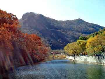 澳门二四六天天彩图库，太空一号高瘦鞋